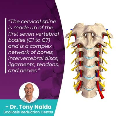 Cervical Lordosis: What Causes Loss of Cervical Lordosis?