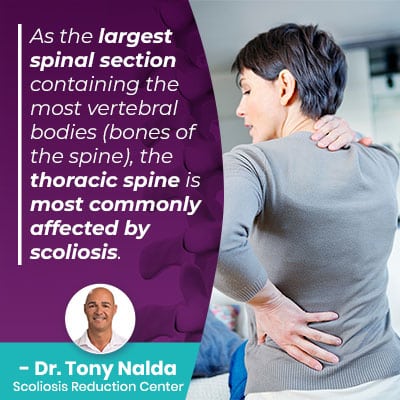 as-the-largest-spinal-section-400