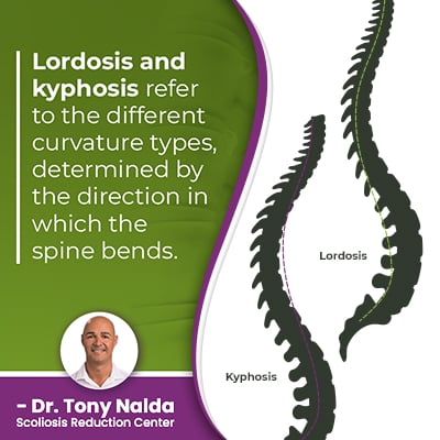 Lordosis and kyphosis refer to