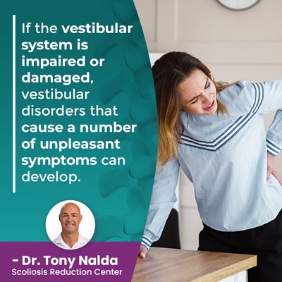 if the vestibular system