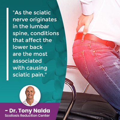 As the sciatic nerve originates