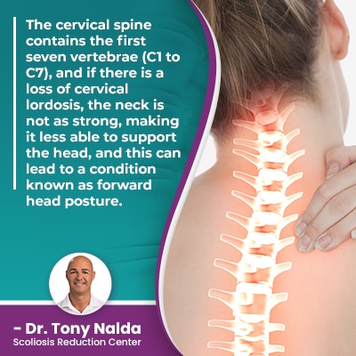 The cervical spine contains the