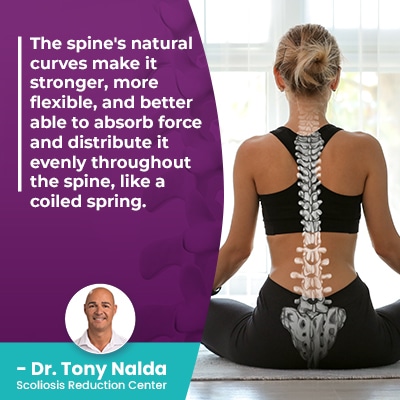 Cervical Curvature Of The Spine Symptoms Treatment   The Spines Natural Curves Make 400 