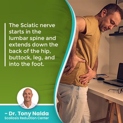 The Sciatic nerve starts in