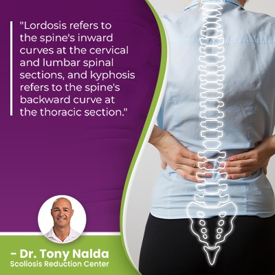 lordosis refers to the