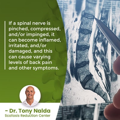 if a spinal nerve is