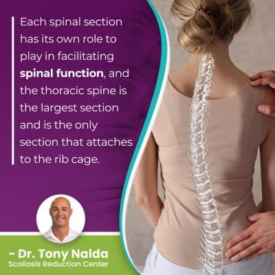 Each spinal section has its own role 