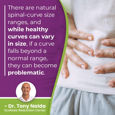A visual representation of the quote from the text starting with “ There are natural spinal curve"