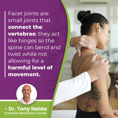 A visual representation of the quote from the text starting with “facet joints are small joints"